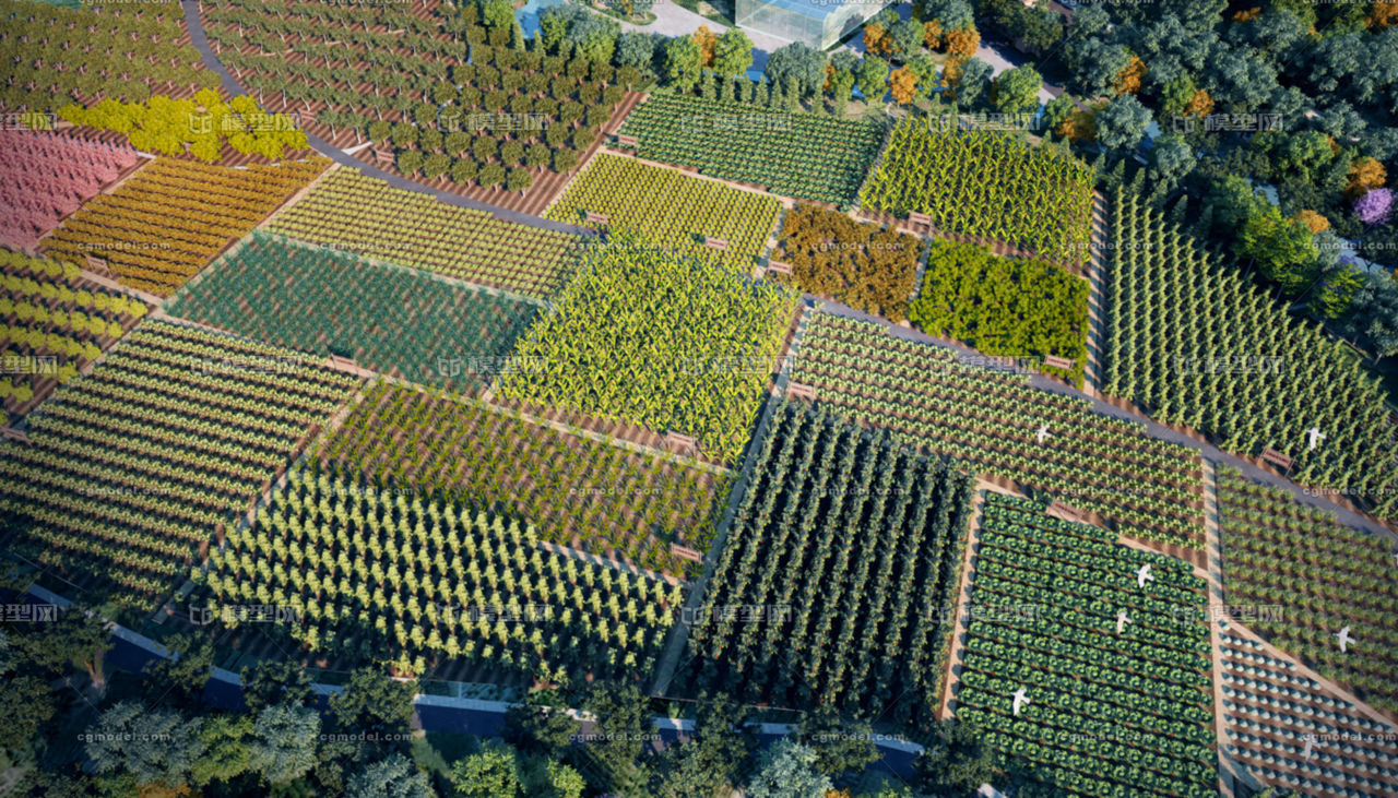 農(nóng)業(yè)培育與農(nóng)田旅游 自然場景的新融合