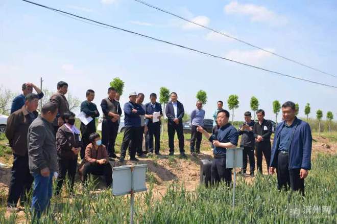 科技特派員賦能濱州田野，精準服務播撒鄉村振興新希望