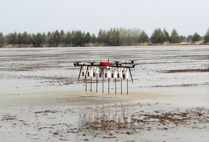 《“十三五”農業農村發展成就斐然，農業機械化與科技服務引領現代農業新篇章》