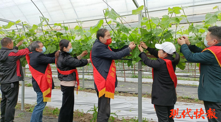 鹽城勞模愛心團隊 科技助農，護航春耕防疫“兩不誤”